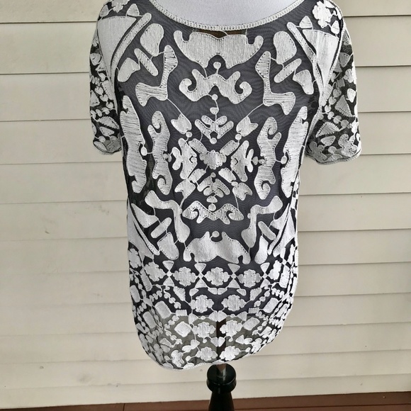 Anthropologie Everleigh Rococo Sheer Tee Shirt - Picture 4 of 6